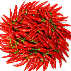 1 Ot Cay 1424484052730