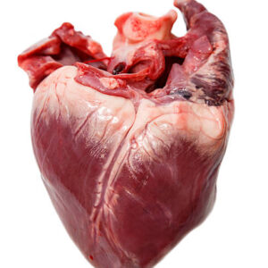 Istockphoto 483752891 612x612 1